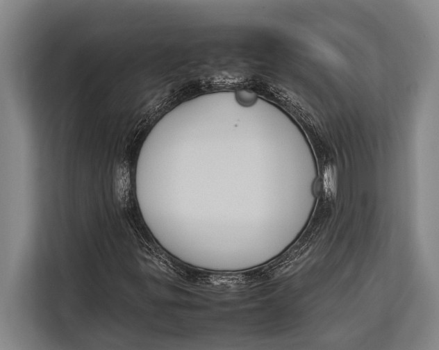 X0000113031299200909171453