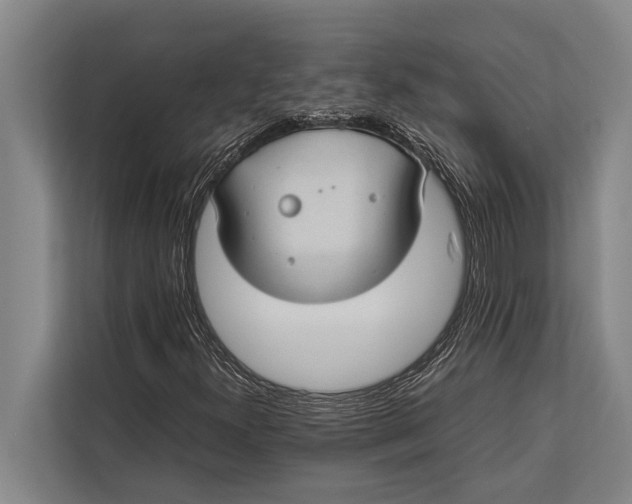 X0000113031300200909171453