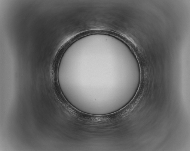 X0000113031311200909171453