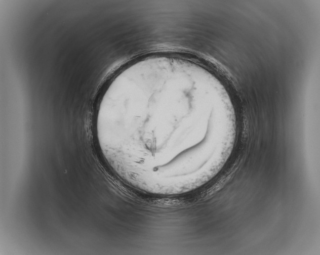 X0000113031314200909171453