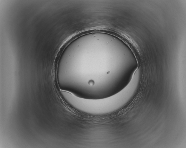 X0000113031316200909171453