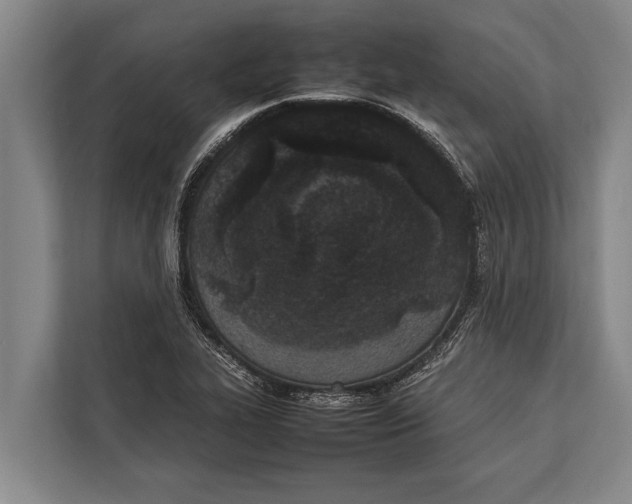 X0000113031319200909171453