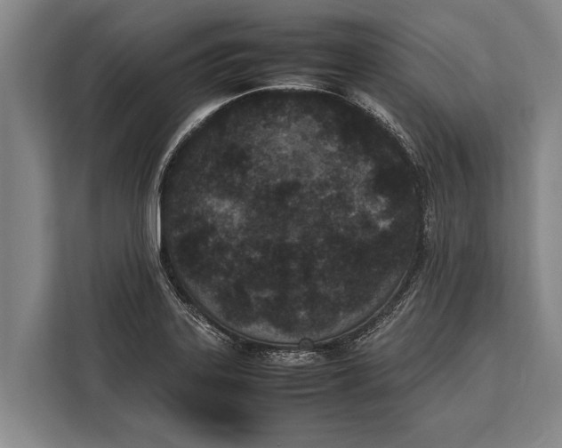 X0000113031323200909171453