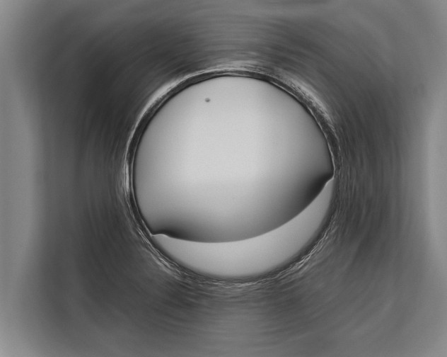 X0000113031324200909171453