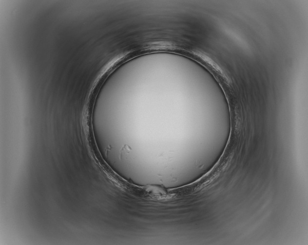 X0000113031325200909171453