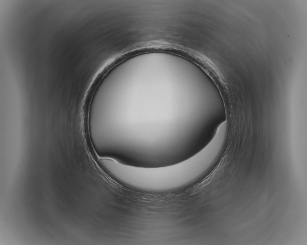 X0000113031326200909171453