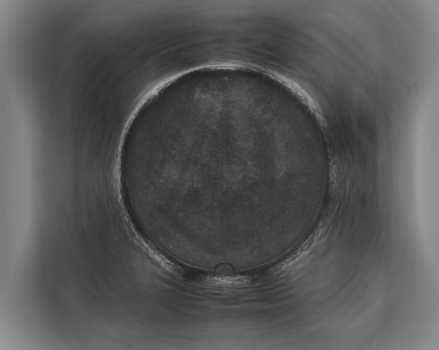 X0000113031327200909171453