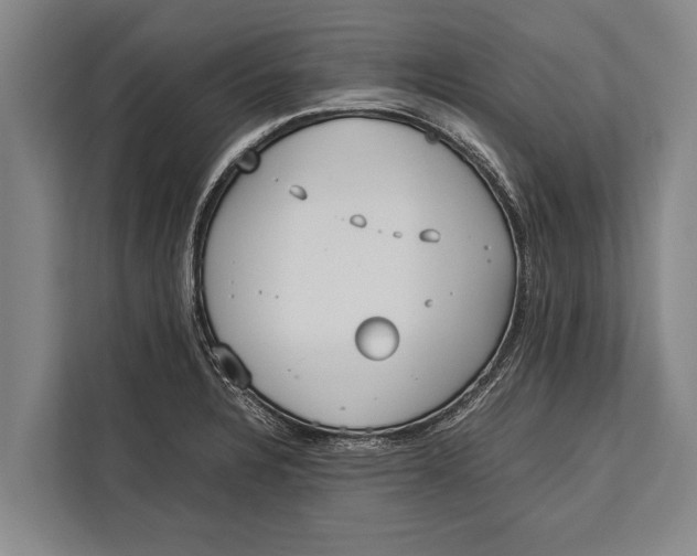 X0000113031328200909171453