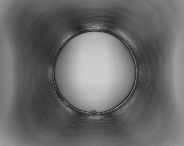 X0000113031329200909171453