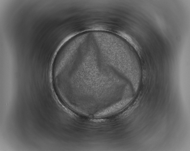 X0000113031331200909171453