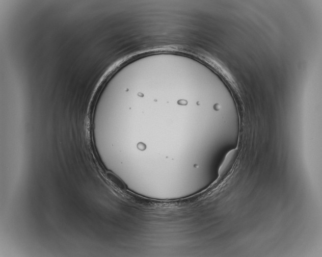 X0000113031332200909171453