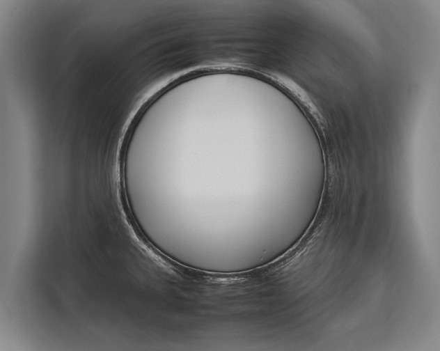 X0000113031335200909171453