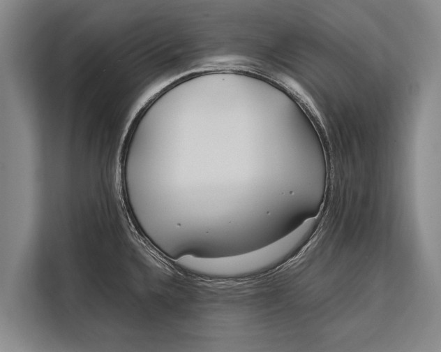 X0000113031336200909171453