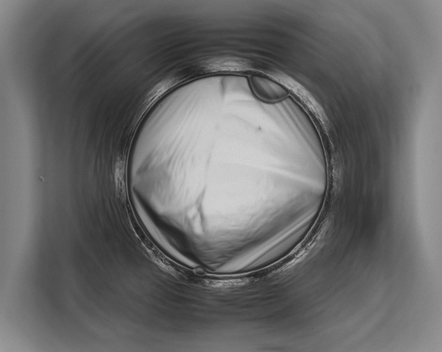 X0000113031337200909171453