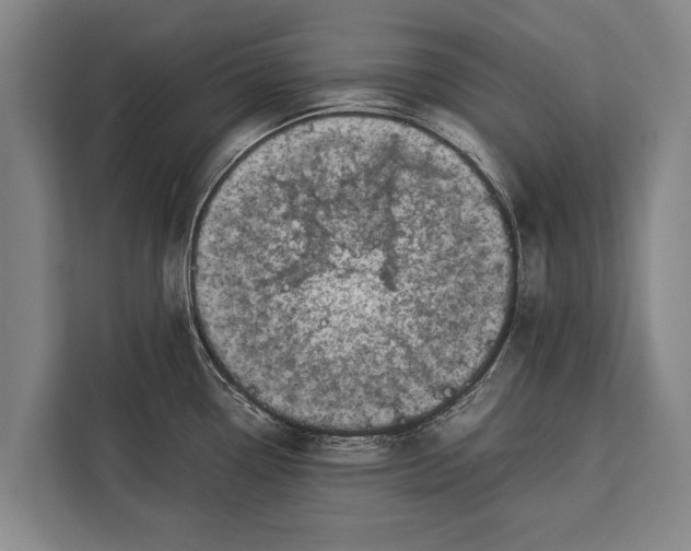 X0000113031338200909171453