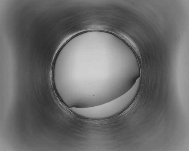 X0000113031340200909171453