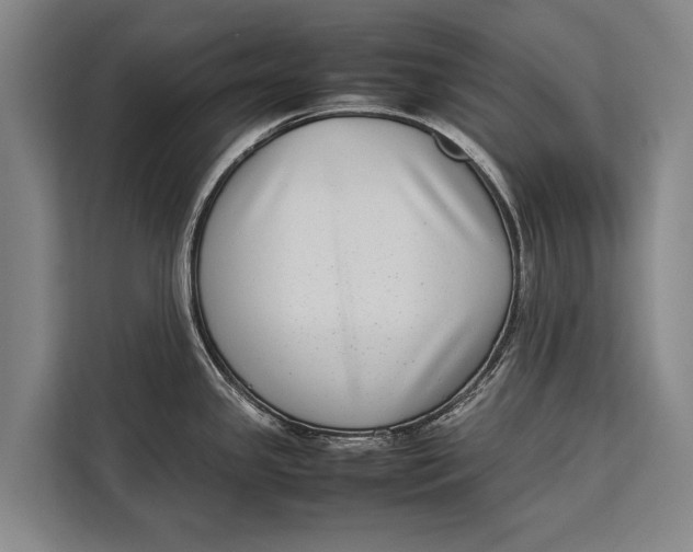 X0000113031341200909171453