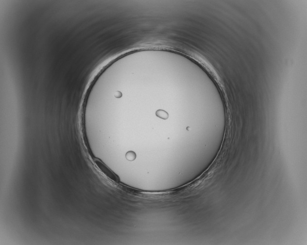 X0000113031344200909171453