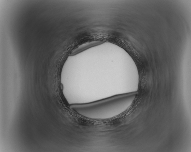 X0000113031345200909171453