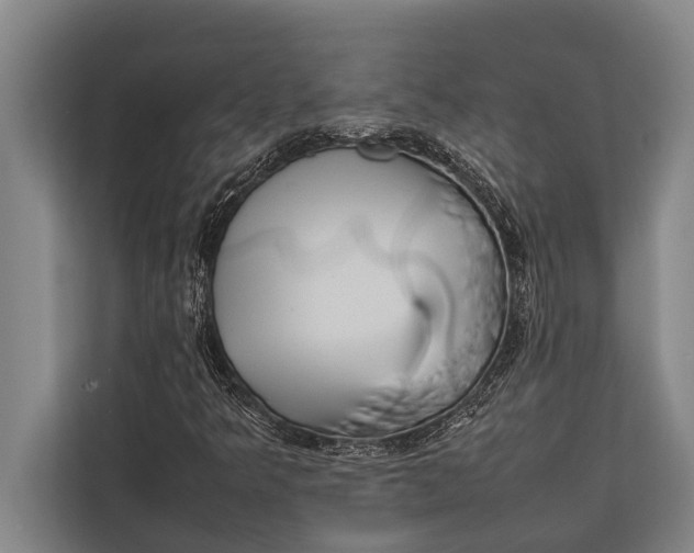 X0000113031349200909171453