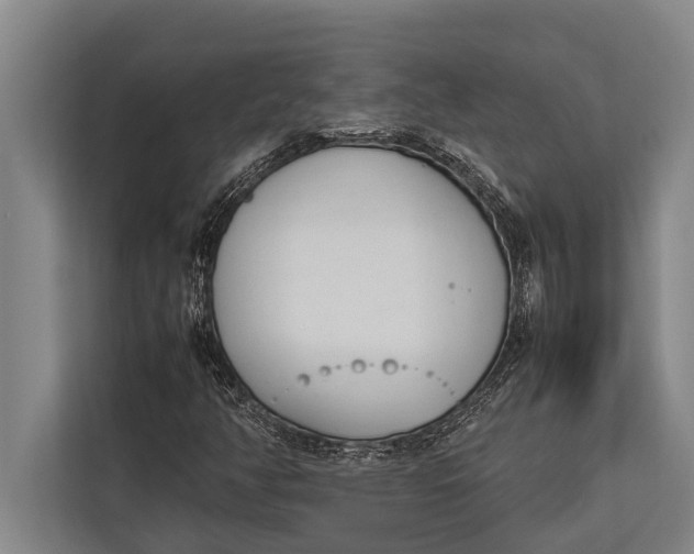 X0000113031350200909171453