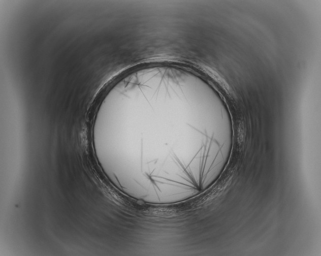 X0000113031356200909171453