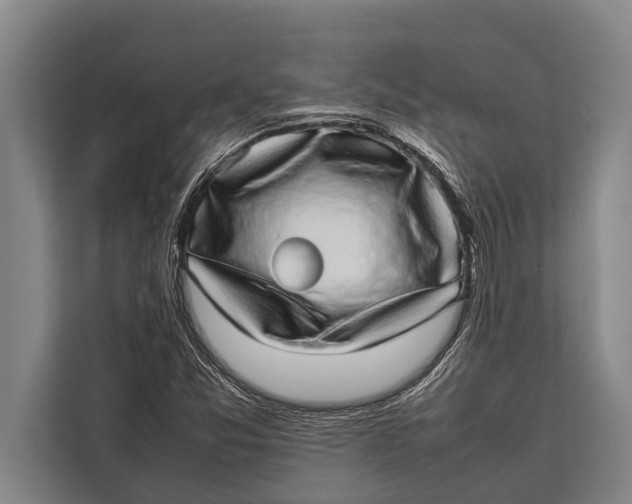 X0000113031357200909171453