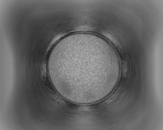 X0000113031358200909171452