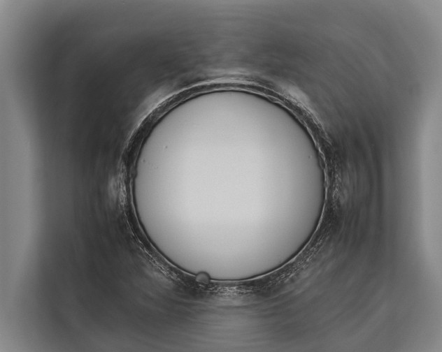 X0000113031360200909171452