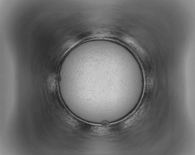 X0000113031361200909171452