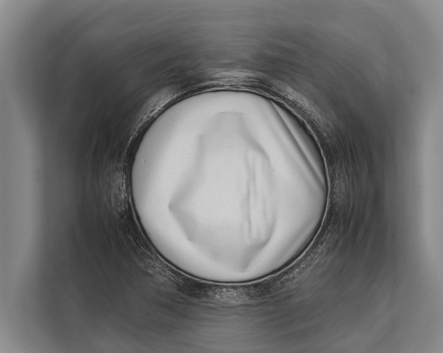 X0000113031362200909171452