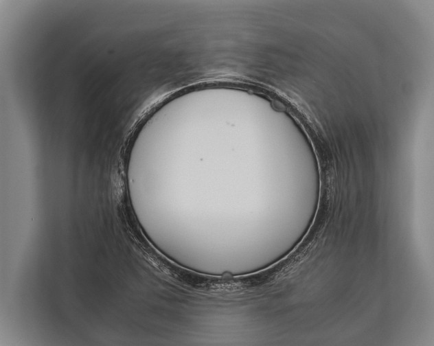 X0000113031363200909171452