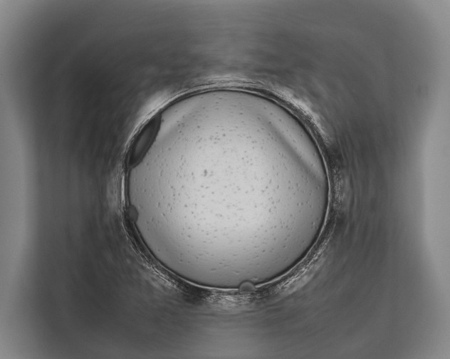 X0000113031365200909171452