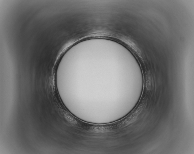 X0000113031366200909171452