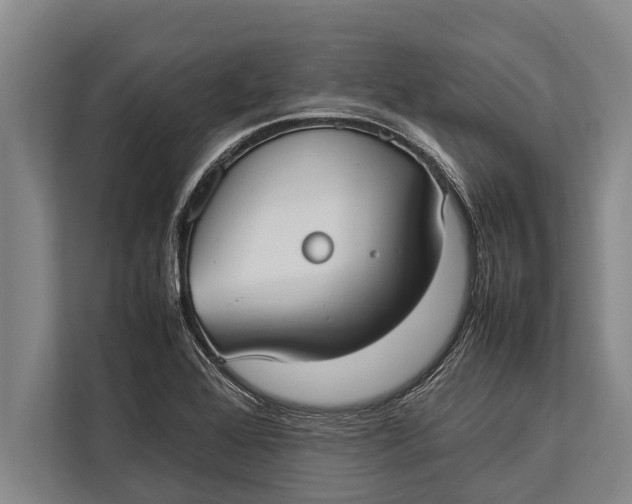 X0000113031368200909171452