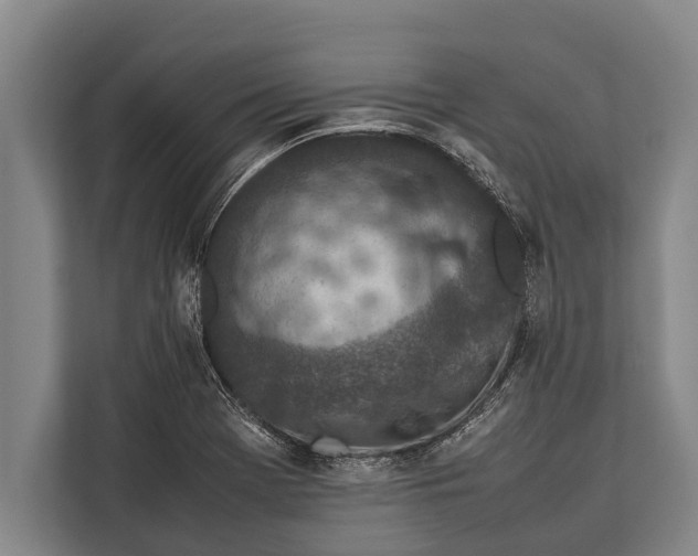 X0000113031369200909171452