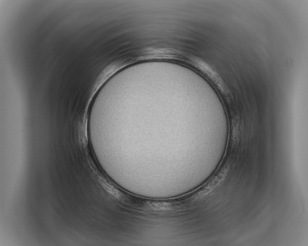 X0000113031370200909171452