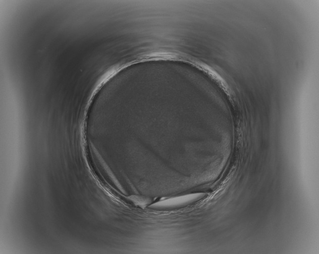 X0000113031373200909171452