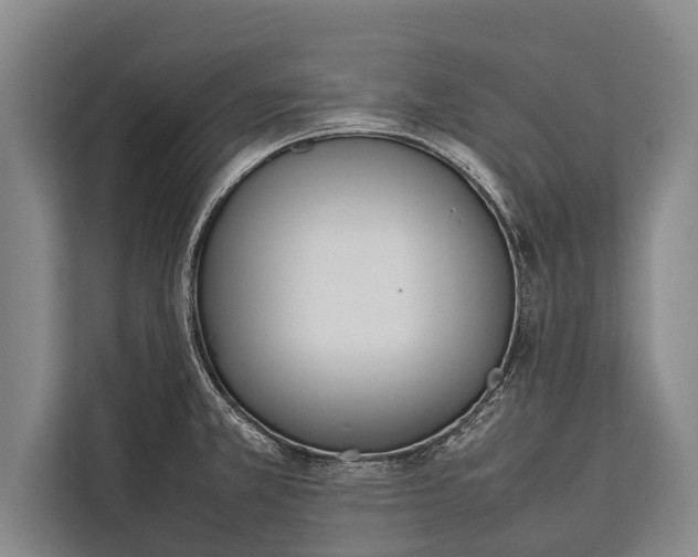 X0000113031381200909171452