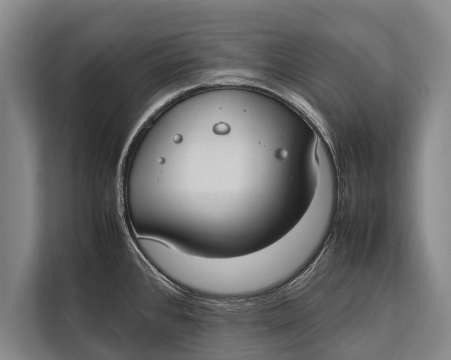 X0000113031384200909171452