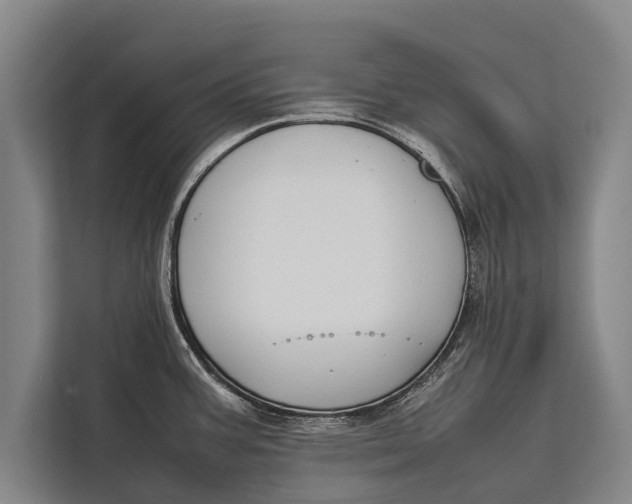 X0000113031387200909171452