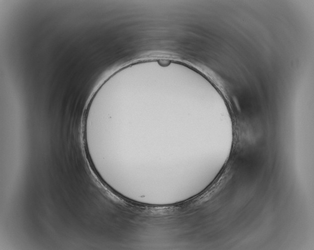 X0000113031390200909171452