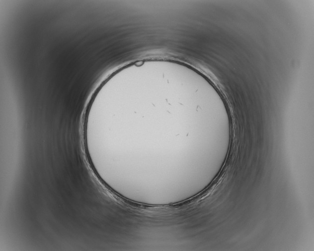 X0000113031392200909171452