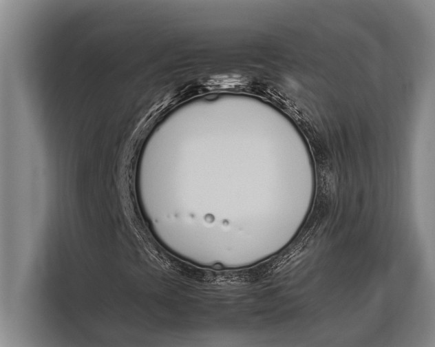 X0000113031393200909171451