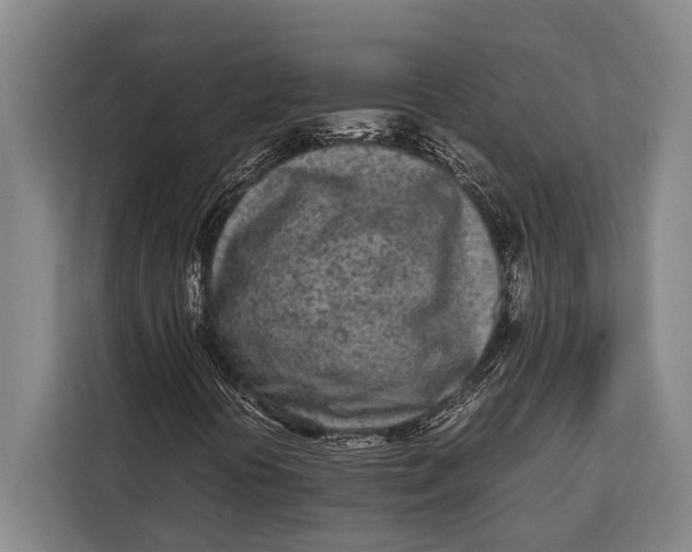 X0000113031394200909171451