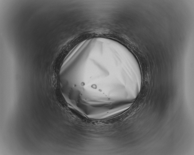 X0000113031398200909171452