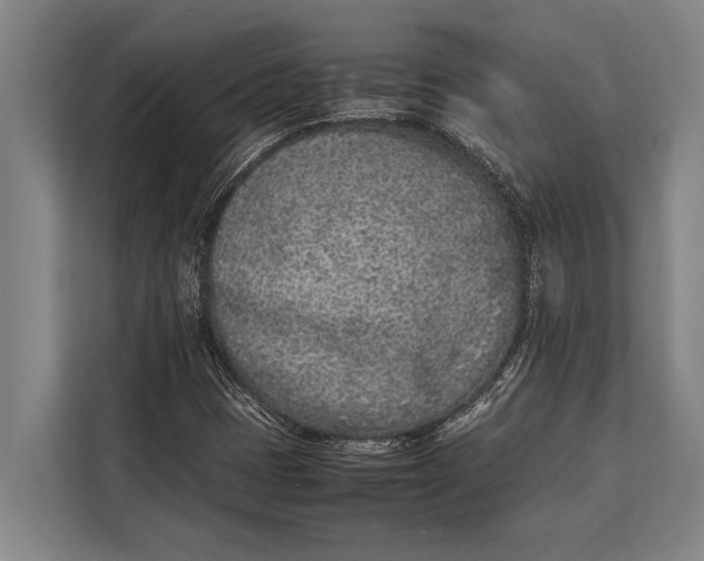 X0000113031401200909171452