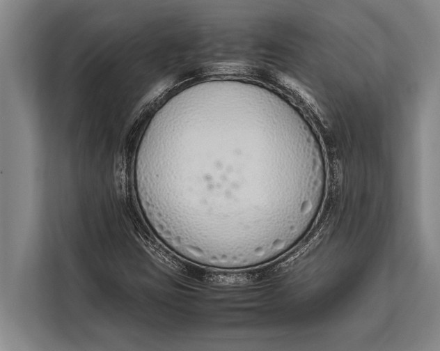 X0000113031403200909171452