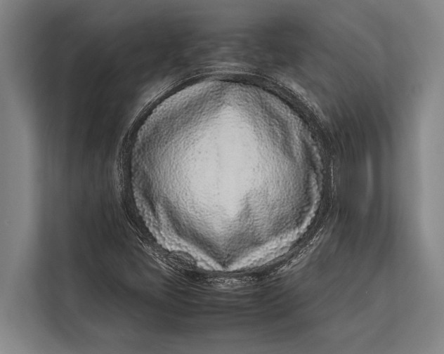 X0000113031405200909171452