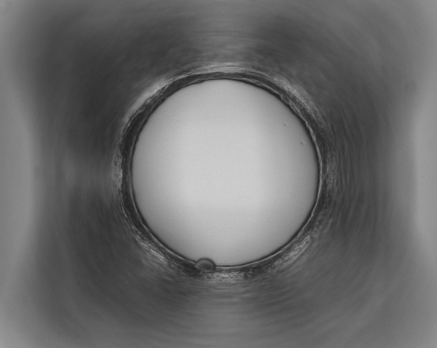 X0000113031406200909171452